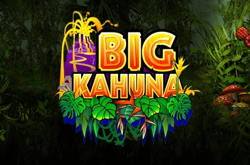 Big Kahuna slot Big Kahuna slot